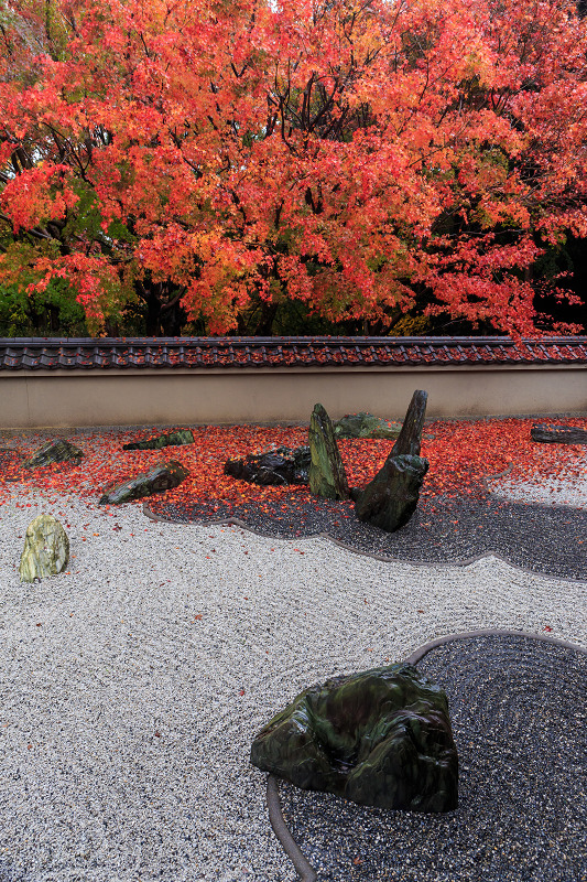 龍吟庵・晩秋（東福寺塔頭）_f0155048_21133584.jpg