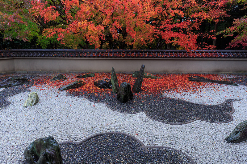 龍吟庵・晩秋（東福寺塔頭）_f0155048_21135095.jpg