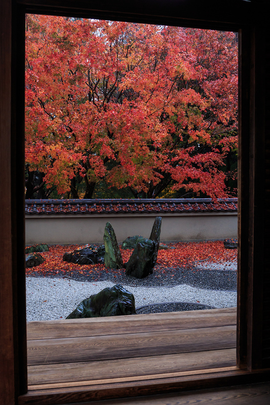 龍吟庵・晩秋（東福寺塔頭）_f0155048_21262334.jpg