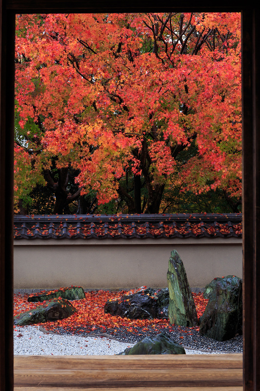 龍吟庵・晩秋（東福寺塔頭）_f0155048_2185219.jpg