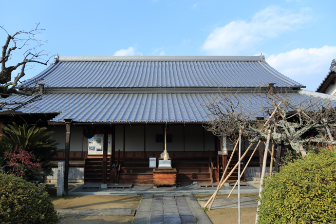 龍雲寺　水仙　2015_a0176855_22351588.jpg