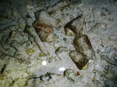 c0180460_2310019.jpg