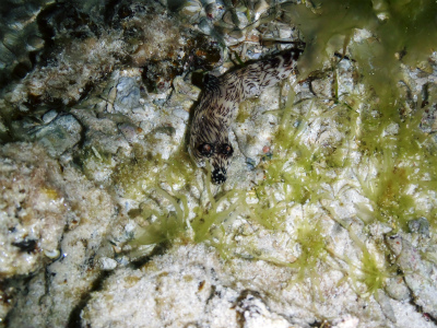 c0180460_23123687.jpg