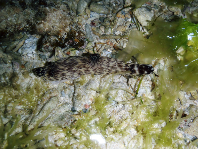 c0180460_23135079.jpg