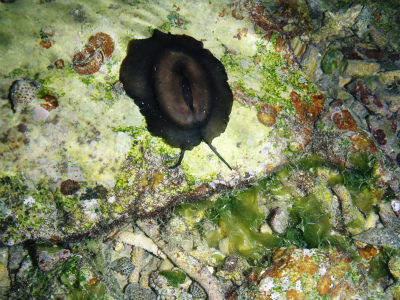 c0180460_2329468.jpg