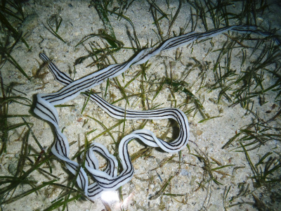 c0180460_237737.jpg
