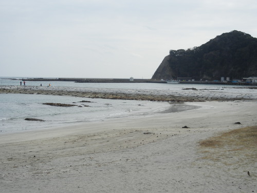 ’15,2,24(火)勝浦ビッグひな祭り!_f0060461_1139978.jpg