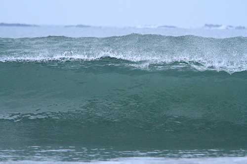 a0157069_00245.jpg