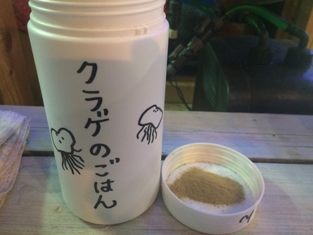 2/24 店長日記_e0173381_19105112.jpg