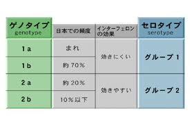 C型肝炎治療最前線（ダクラスビルとアスナプレビル）_f0333882_17402911.jpg