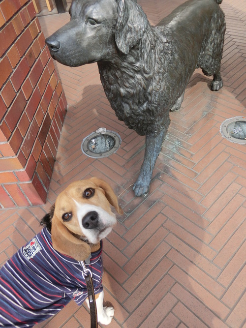 a0319693_1729999.jpg