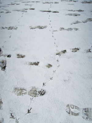 2月　sapporo 5_b0055196_15573542.jpg