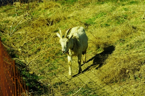 池のほとりでのヨガ_d0169599_12205111.jpg