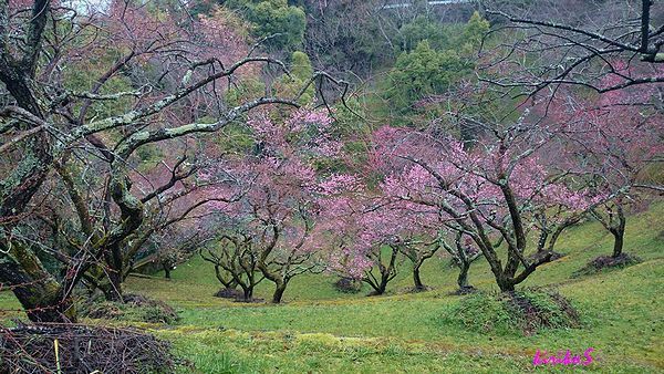 c0330122_14364628.jpg