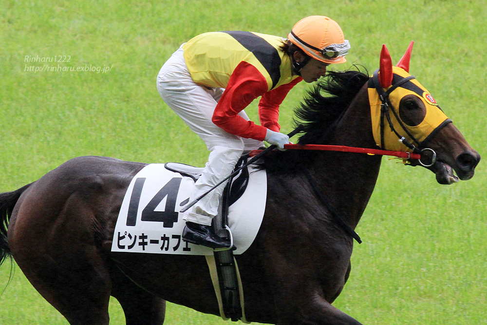 2014.6.8 東京競馬場☆ピンキーカフェ【Thoroughbred】_f0250322_22243917.jpg