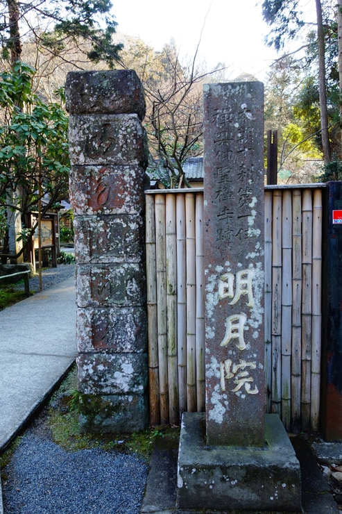 a0287336_218346.jpg