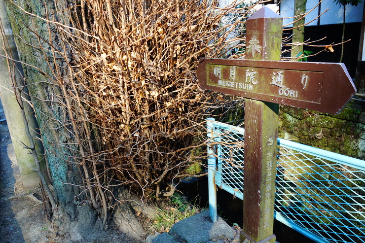 鎌倉2015 その5～葉祥明美術館と建長寺_a0287336_22231325.jpg