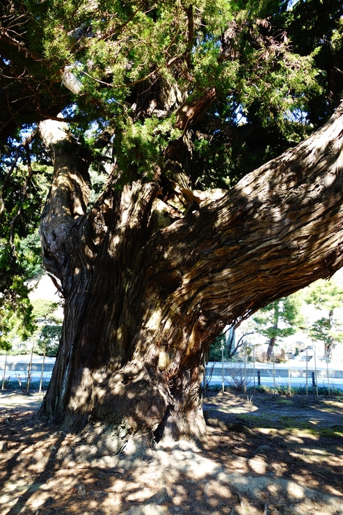 鎌倉2015 その5～葉祥明美術館と建長寺_a0287336_22395373.jpg