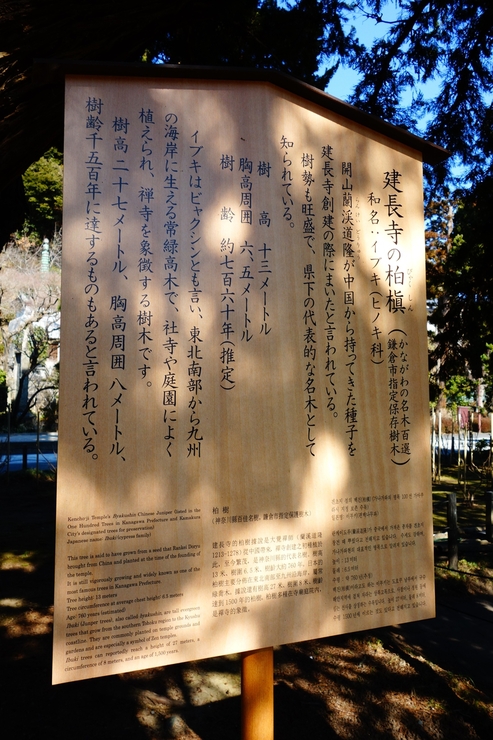 鎌倉2015 その5～葉祥明美術館と建長寺_a0287336_22402128.jpg