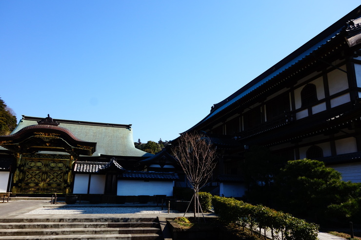 鎌倉2015 その5～葉祥明美術館と建長寺_a0287336_22463267.jpg