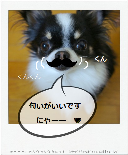 b0112758_1156529.png