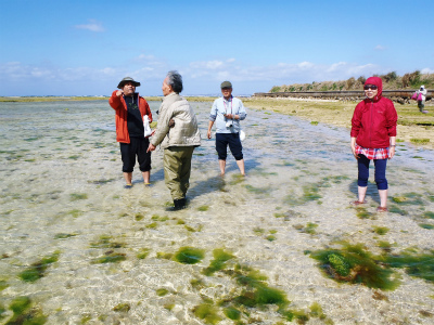 昼間の海の散策_c0180460_14334786.jpg