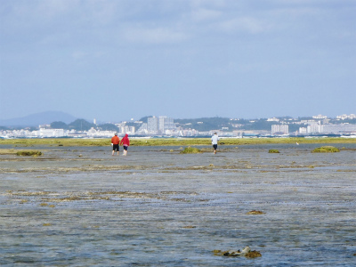 昼間の海の散策_c0180460_14401578.jpg