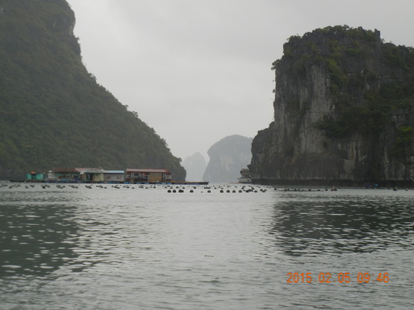’15,2,25(水)ベトナム旅行ハロン湾クルーズ!_f0060461_1311213.jpg