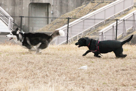 c0161772_222010.jpg