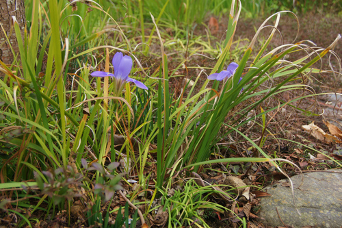 e0181373_2012244.jpg