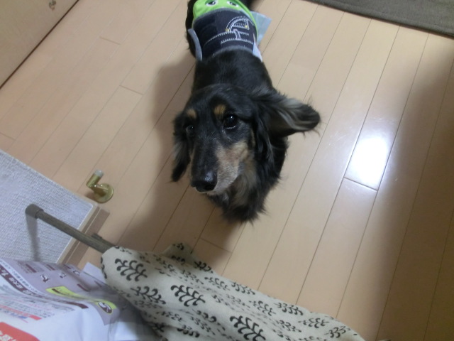 d0227686_9373741.jpg