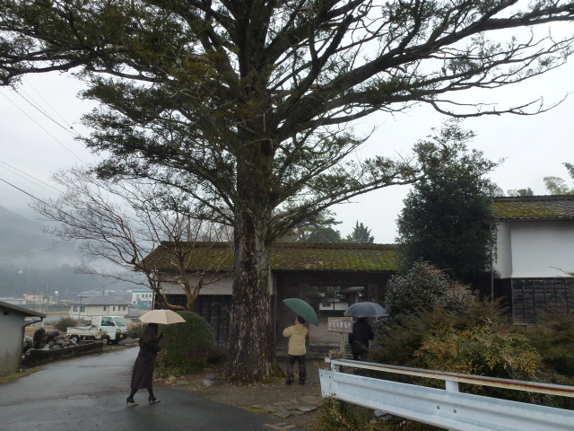 d0263787_2132307.jpg