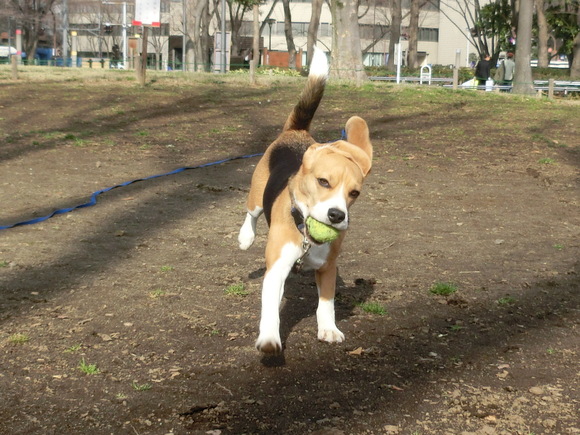a0319693_16271192.jpg