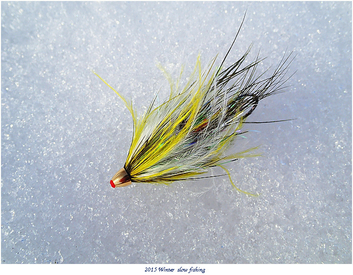 Episode 99 Mini Fascination Mini Interaction 鮭稚魚チューブフライ Slow Fishing Ver 2 Episode 99 Mini Fascination Mini Interaction 鮭稚魚チューブフライ Slow Fishing Ver 2