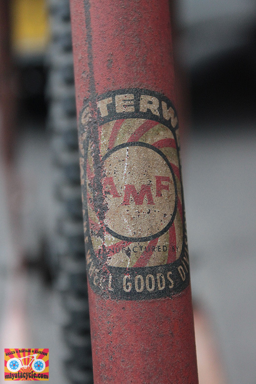 『AMF SKYRIDER』が蘇る!_e0126901_11321921.jpg