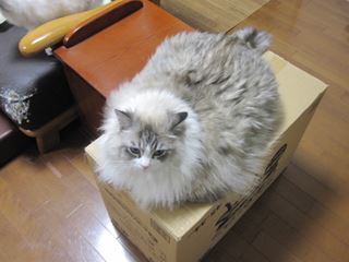 c0053625_22123653.jpg