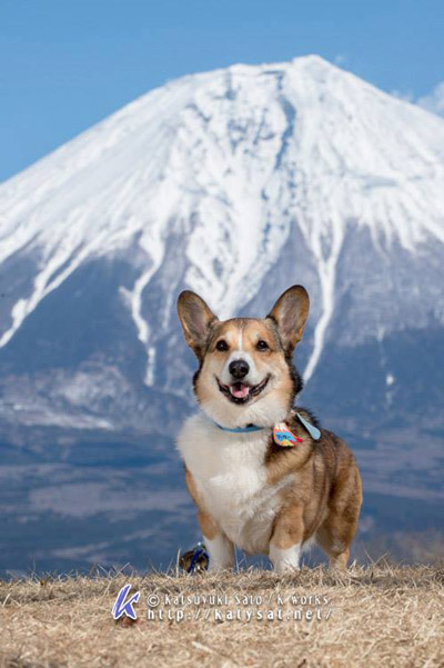 青空に映える富士山での撮影会♪_e0071225_23332767.jpg