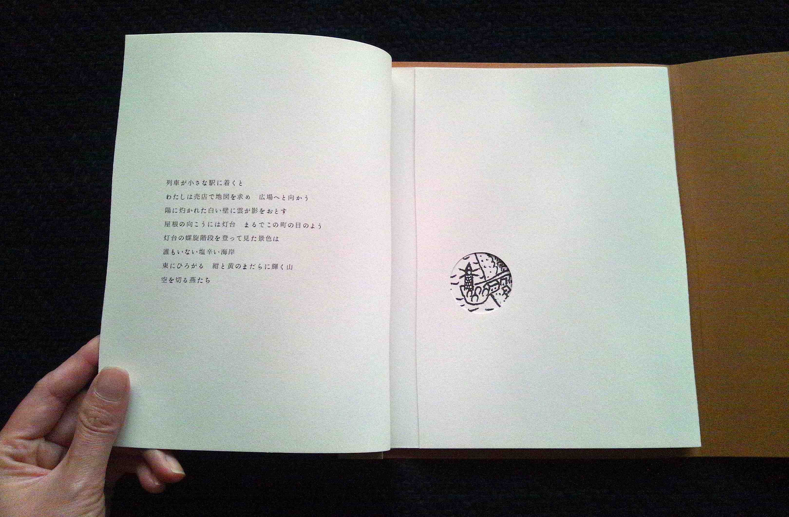 nakaban限定本1_a0265743_23253093.jpg