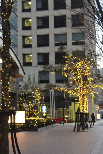 c0093046_6522229.gif