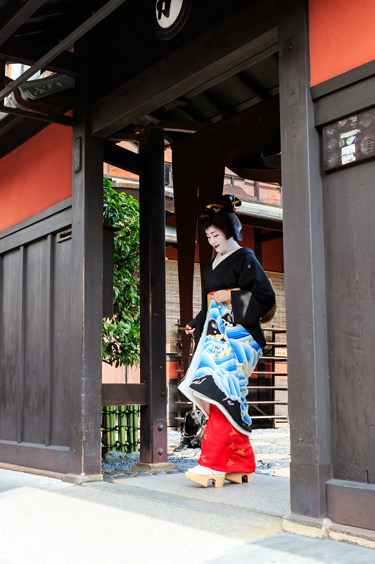 襟替え(祇園甲部・紗月さん)_f0155048_22482438.jpg