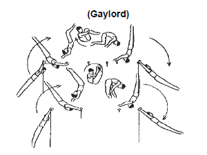 e0303850_21543438.png