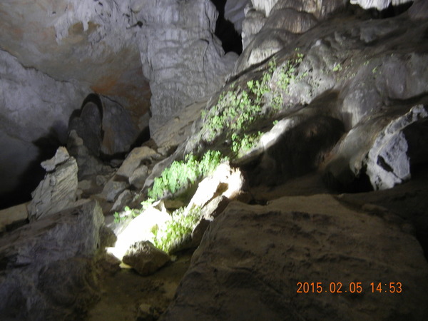 ’15,2,26(木)ベトナム旅行7日目ハロン湾クルーズ鍾乳洞巡り!_f0060461_816494.jpg