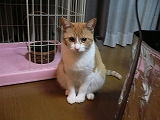 楽しき2月をざっと。_d0137764_13552770.jpg