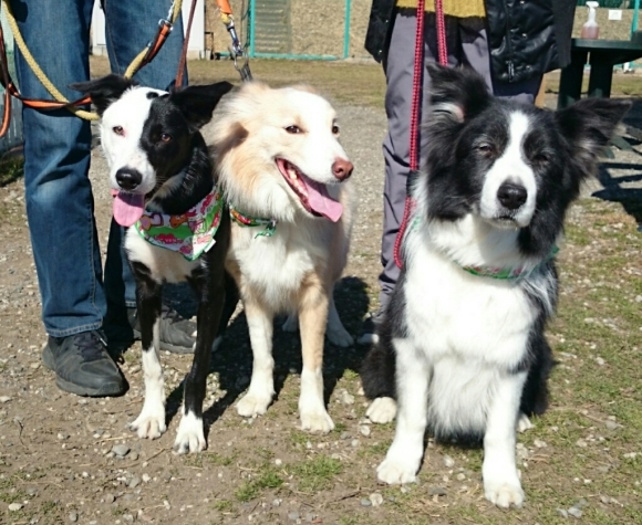 c0345972_01565534.jpg