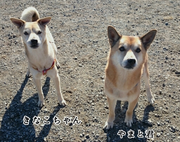 c0345972_01565557.jpg