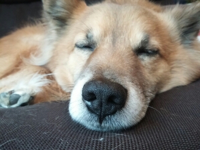 f0238772_13502183.jpg