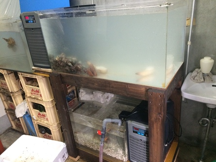 2/26 店長日記_e0173381_1742742.jpg