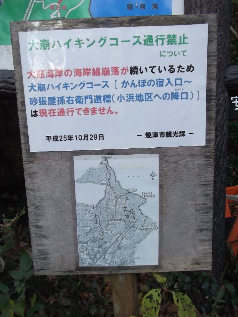 2015里山情報（花沢山）_e0038990_14283352.jpg