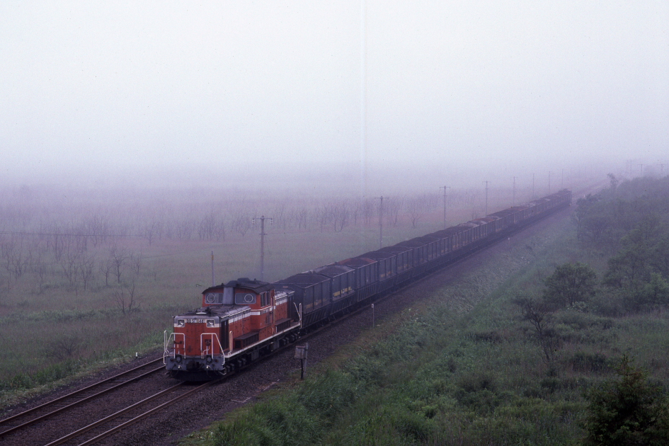 霧雨の湿原を赤い電車が走っていた頃　- 千歳線 -  _b0190710_23253328.jpg