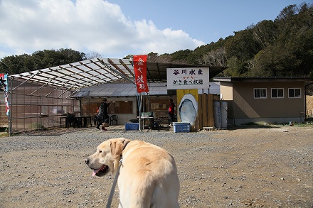 f0191413_18523128.jpg
